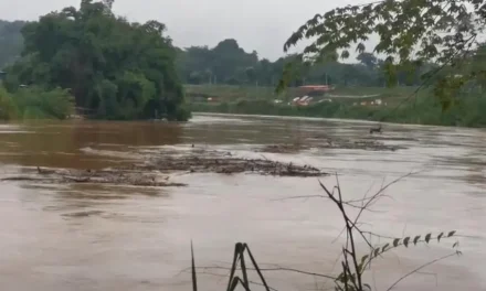 ACTIVAN ALERTA NARANJA EN PANDO POR LA CRECIDA DEL RÍO ACRE