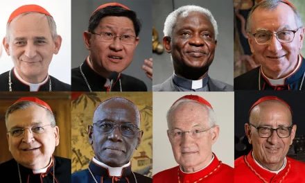 NOMBRES DE LOS POSIBLES SUCESORES DEL PAPA FRANCISCO