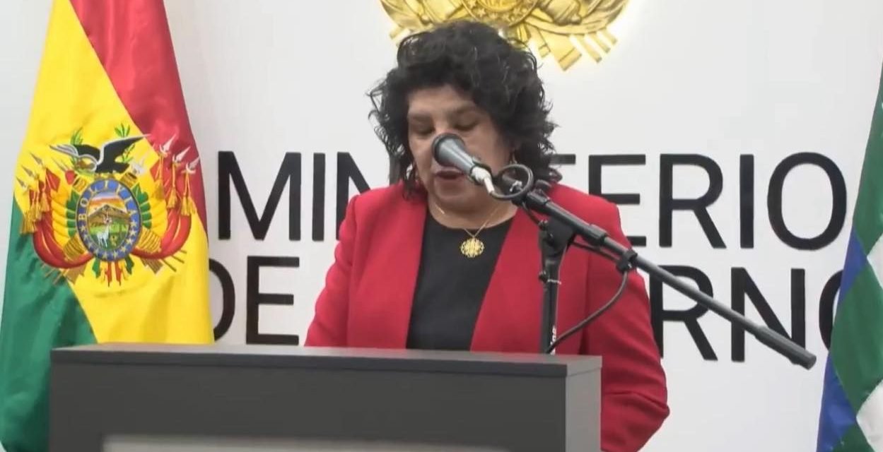 CAROLA ARRAYA ES LA  NUEVA VICEMINISTRA DE SEGURIDAD CIUDADANA