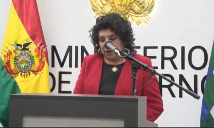 CAROLA ARRAYA ES LA  NUEVA VICEMINISTRA DE SEGURIDAD CIUDADANA