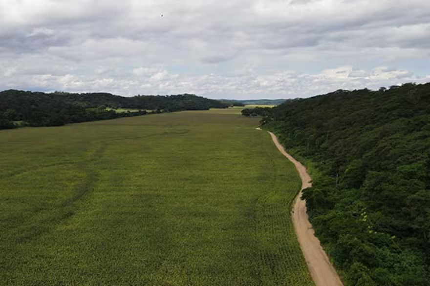 LAS TIERRAS DE RAFAEL, EL HIJO DEL PRESIDENTE ARCE