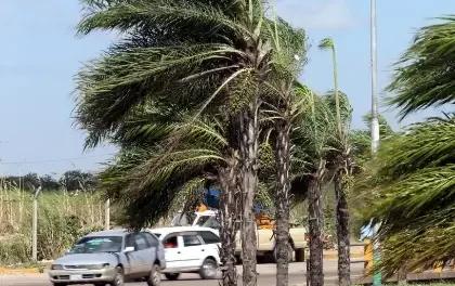 ALERTA POR FUERTES VIENTOS QUE PODRÍAN ALCANZAR LOS 90 KILÓMETROS POR HORA
