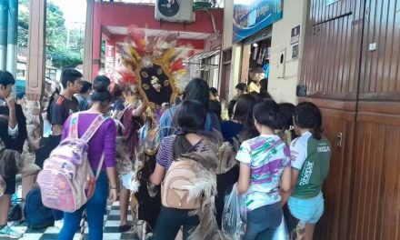 DEMANDA DE DISFRASES POR EL «DÍA DE LA MADRE»