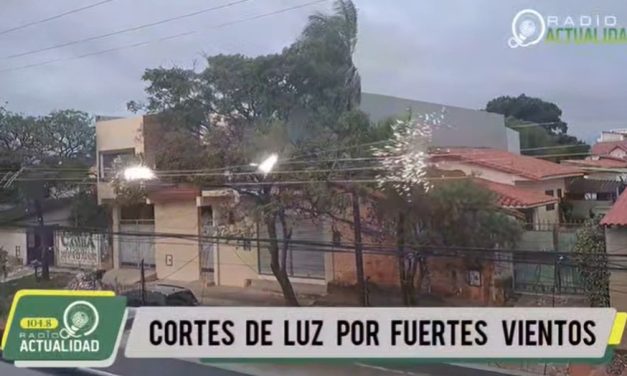 CORTES DE LUZ ELÉCTRICA POR FUERTES VIENTOS