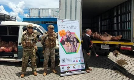 DECOMISAN MÁS DE 100 MIL KILOS DE CARNES