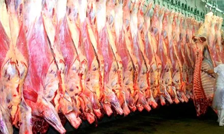 GOBIERNO MANTIENE VETO A LA EXPORTACIÓN DE CARNE POR PRECIOS ELEVADOS