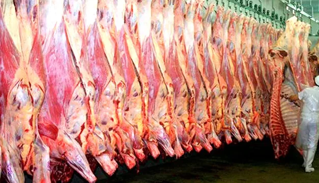 GOBIERNO MANTIENE VETO A LA EXPORTACIÓN DE CARNE POR PRECIOS ELEVADOS