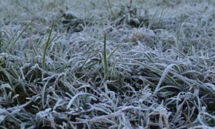 DEFENSA CIVIL DA POR CONCLUIDO EL CICLO DE LLUVIAS  AHORA LA AMENAZA ES POR HELADAS