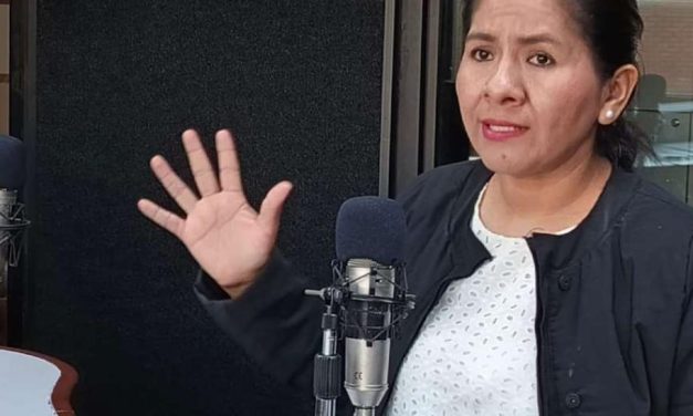 LOLA TERRAZAS: OBRAS PARALIZADAS Y AVASALLAMIENTOS DESAFÍAN A LA COMISIÓN DE PLANIFICACIÓN