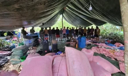 DESTRUYEN 7 FÁBRICAS DE COCAÍNA Y APREHENDEN A 19 PERSONAS EN VILLA TUNARI