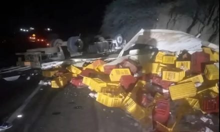 DOS HERIDOS TRAS VUELCO DE CAMIÓN FRIGORÍFICO CON POLLO