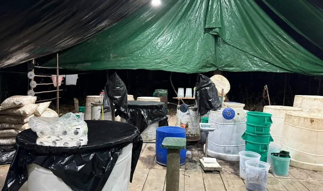 DESTRUYEN MEGA LABORATORIO DE CRISTALIZACIÓN DE COCAÍNA EN VILLA TUNARI