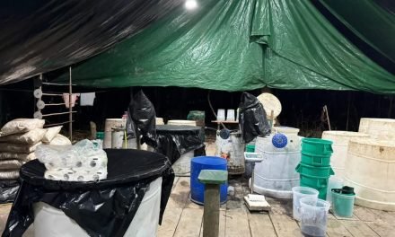 DESTRUYEN MEGA LABORATORIO DE CRISTALIZACIÓN DE COCAÍNA EN VILLA TUNARI