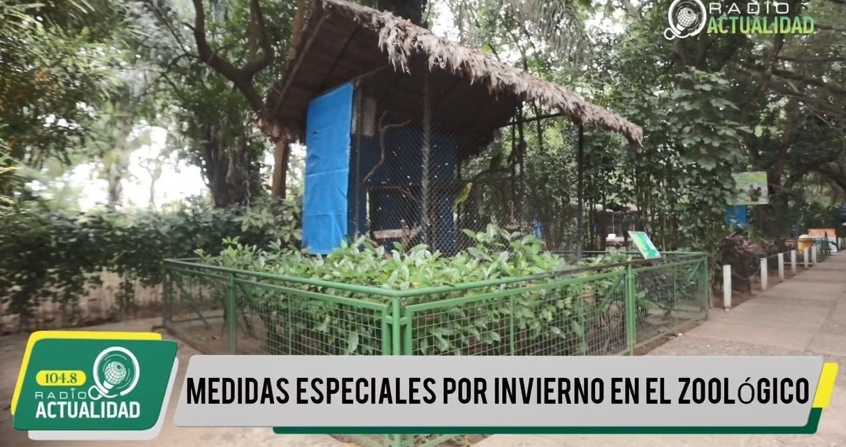ZOOLÓGICO MUNICIPAL  PROTEGE A LOS ANIMALES ANTE EL INVIERNO