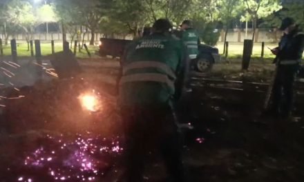 MEDIO AMBIENTE ERRADICO FOGATAS Y QUEMAS EN NOCHE DE SAN JUAN