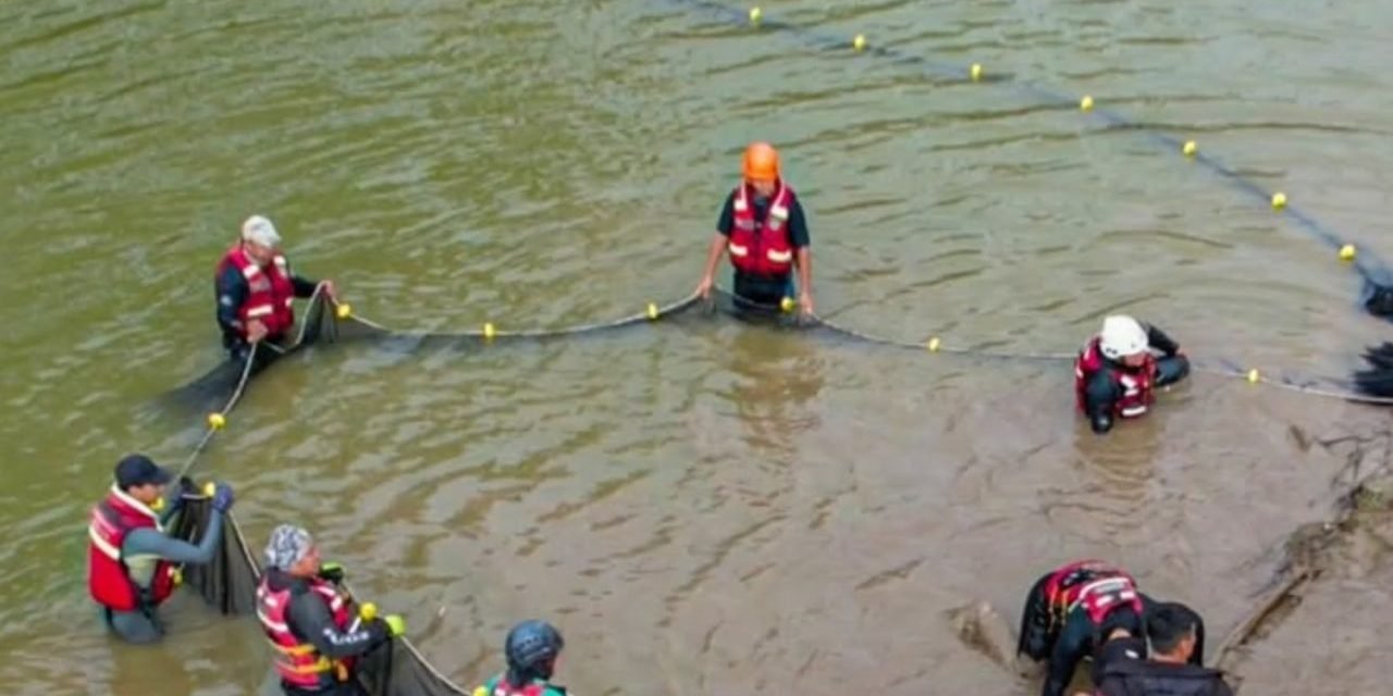 RESCATAN A 44 ANIMALES SILVESTRES QUE QUEDARON ATRAPADOS TRAS INUNDACIONES