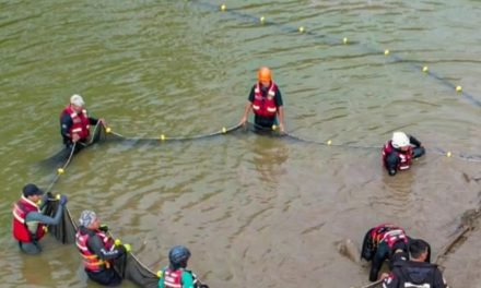 RESCATAN A 44 ANIMALES SILVESTRES QUE QUEDARON ATRAPADOS TRAS INUNDACIONES