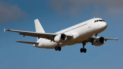 FALTA DE COMBUSTIBLE PUEDE PONER EN RIESGO LAS OPERACIONES ÁREAS SEGÚN ASOCIACIÓN