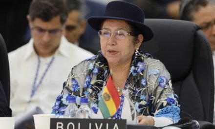 EL GOBIERNO ALERTA EN LA OEA SOBRE «TENSIONES POLÍTICAS» QUE PONEN EN RIESGO LAS ELECCIONES