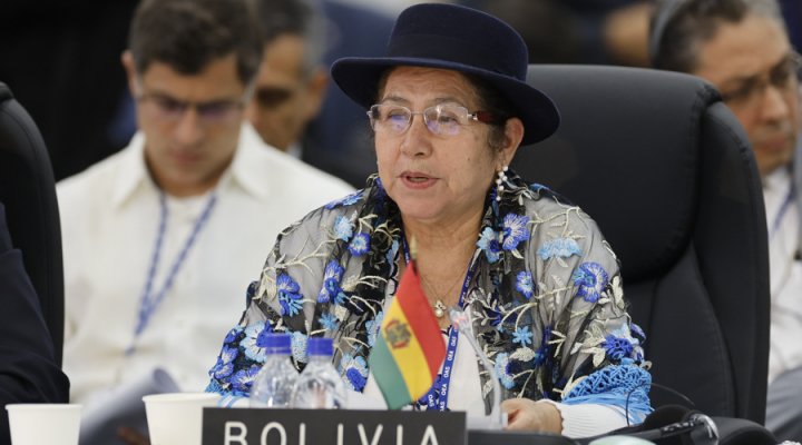 EL GOBIERNO ALERTA EN LA OEA SOBRE «TENSIONES POLÍTICAS» QUE PONEN EN RIESGO LAS ELECCIONES