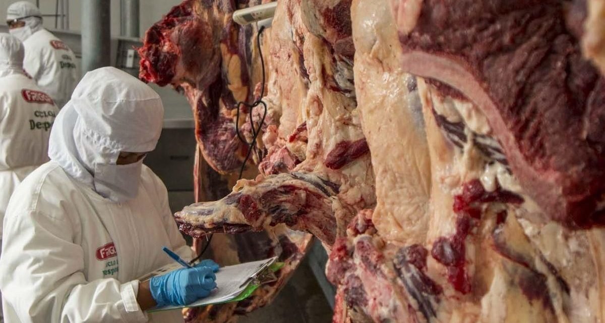 GOBIERNO REHABILITA LA EXPORTACIÓN DE CARNE TRAS ACUERDO PARA INCREMENTAR LA OFERTA