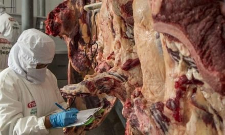 GOBIERNO REHABILITA LA EXPORTACIÓN DE CARNE TRAS ACUERDO PARA INCREMENTAR LA OFERTA