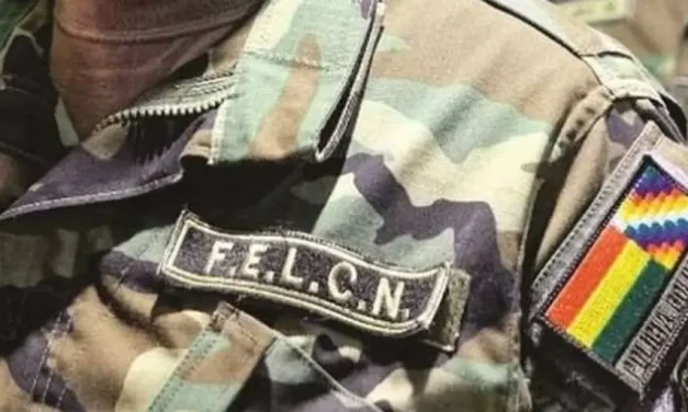 FELCN Y SU PAR DE BRASIL SE REUNIRÁN PARA INTERCAMBIAR DATOS SOBRE POSIBLE PRESENCIA  EL PCC
