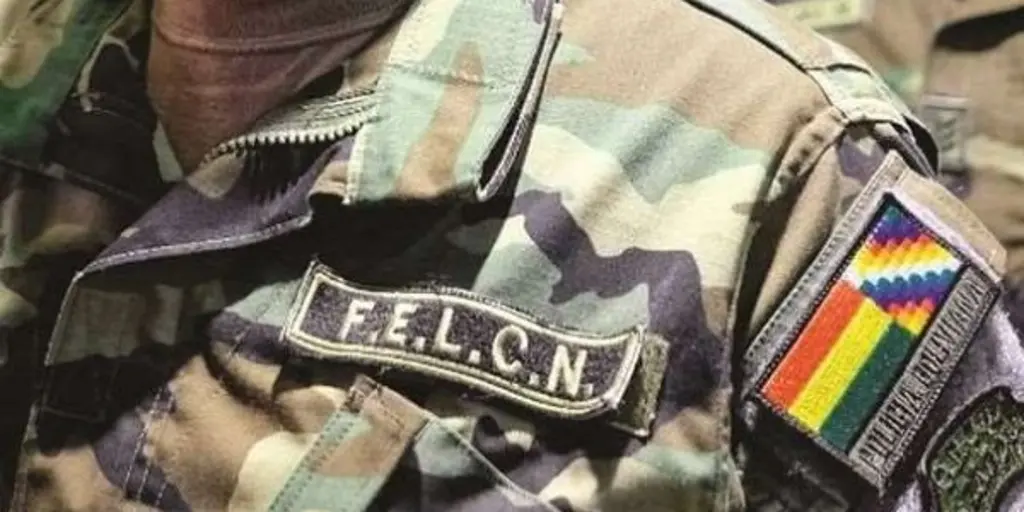 FELCN Y SU PAR DE BRASIL SE REUNIRÁN PARA INTERCAMBIAR DATOS SOBRE POSIBLE PRESENCIA  EL PCC