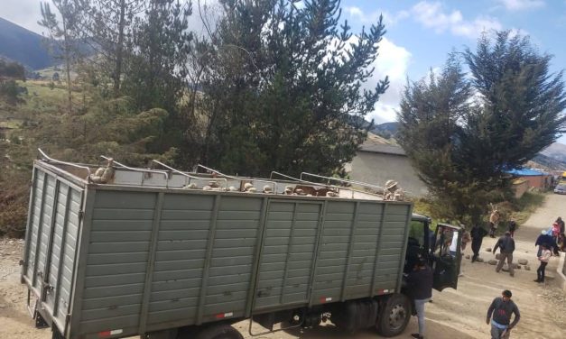EJÉRCITO AFIRMA QUE MILITARES INTERCEPTADOS EN COLOMI IBAN A UN CURSO