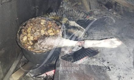 HALLAN LA PIERNA DE UN PERRO EN UNA OLLA EN LLALLAGUA