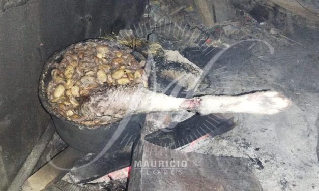 HALLAN LA PIERNA DE UN PERRO EN UNA OLLA EN LLALLAGUA