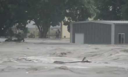 AL MENOS 24 MUERTOS Y MÁS DE 20 NIÑAS DESAPARECIDAS EN TRÁGICA INUNDACIÓN EN TEXAS