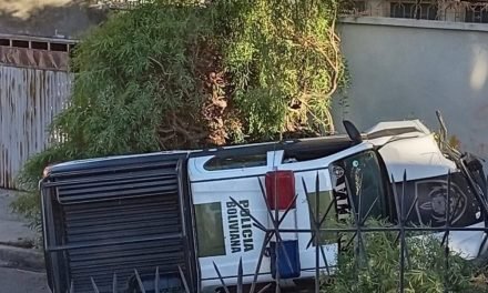 PATRULLA IMPACTA CONTRA ÁRBOLES Y TERMINA VOLCÁNDOSE