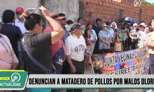 VECINOS DENUNCIAN A MATADERO DE POLLOS POR MALOS OLORES