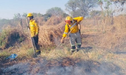 GOBERNACIÓN DE SANTA CRUZ REPORTA 3.324 FOCOS DE CALOR EN EL DEPARTAMENTO