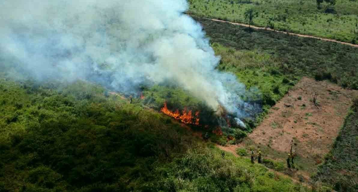 HAY 1.500 FOCOS DE CALOR EN BOLIVIA Y 13 INCENDIOS CONTROLADOS