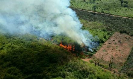 HAY 1.500 FOCOS DE CALOR EN BOLIVIA Y 13 INCENDIOS CONTROLADOS