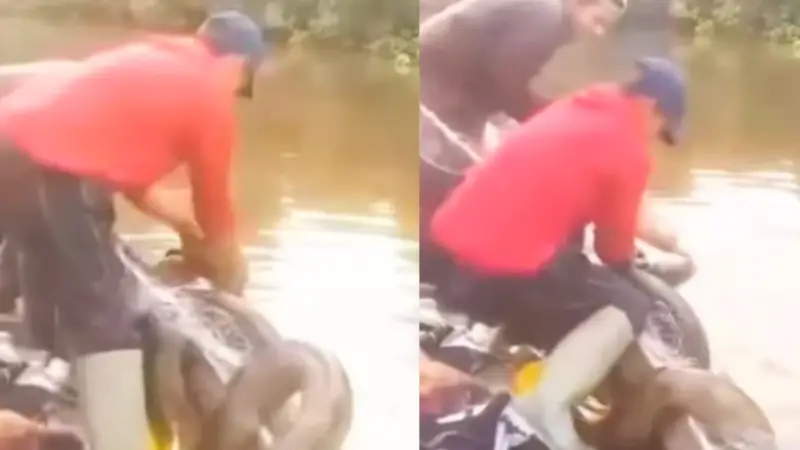 PANDO: PESCADOR ATACADO POR UNA SICURÍ