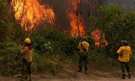 GOBIERNO DECRETA EMERGENCIA NACIONAL POR INCENDIOS