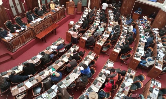 EMPUJONES Y UN MORDIDO EN SESIÓN SOBRE CONTRATOS DE LITIO