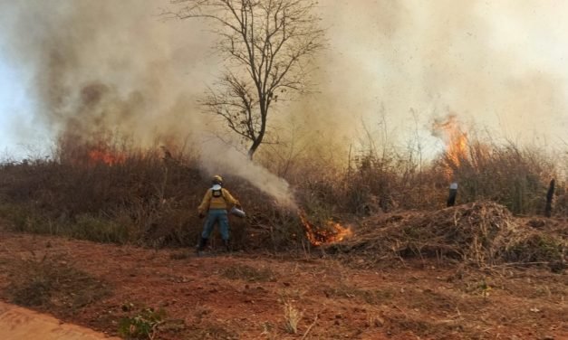 BOMBEROS DE LA GOBERNACIÓN CONTROLAN FUEGO EN PALMARITO