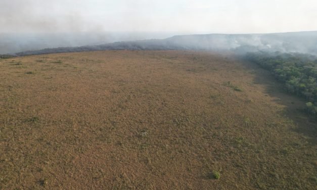 ALERTA EN SANTA CRUZ: 181 FOCOS DE CALOR Y 9 INCENDIOS EN CURSO