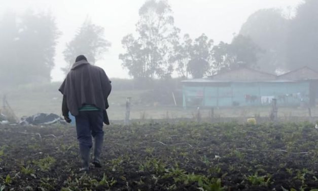 CUATRO DEPARTAMENTOS SUFREN IMPACTOS POR HELADAS Y SEQUÍAS