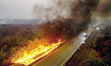 SANTA CRUZ ENFRENTA EMERGENCIA EN MUNICIPIOS AFECTADOS POR INCENDIOS FORESTALES