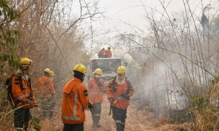 DEFENSA CIVIL ACTIVA ALERTA ROJA EN SANTA CRUZ ANTE INCENDIOS Y ALTAS TEMPERATURAS