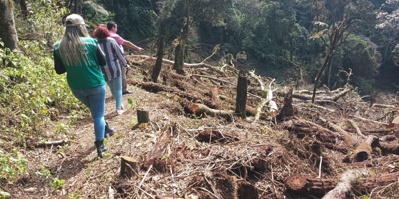 GOBERNACIÓN ACTÚA CONTRA EL DESMONTE ILEGAL EN LA UCPN RÍO GRANDE – VALLES CRUCEÑOS