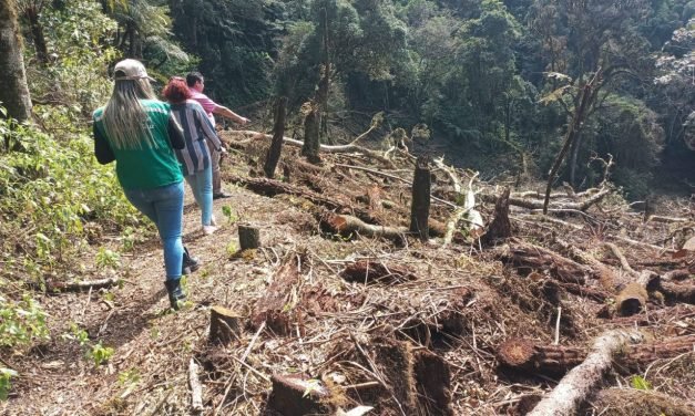 GOBERNACIÓN ACTÚA CONTRA EL DESMONTE ILEGAL EN LA UCPN RÍO GRANDE – VALLES CRUCEÑOS