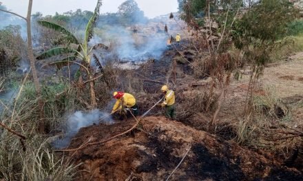 ALERTA ROJA EN SANTA CRUZ: 12 INCENDIOS ACTIVOS Y 471 FOCOS DE CALOR