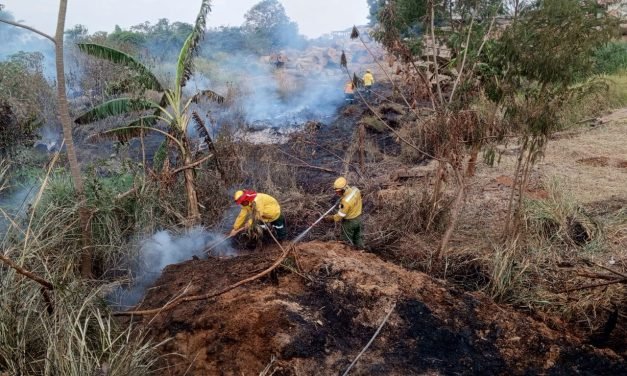ALERTA ROJA EN SANTA CRUZ: 12 INCENDIOS ACTIVOS Y 471 FOCOS DE CALOR