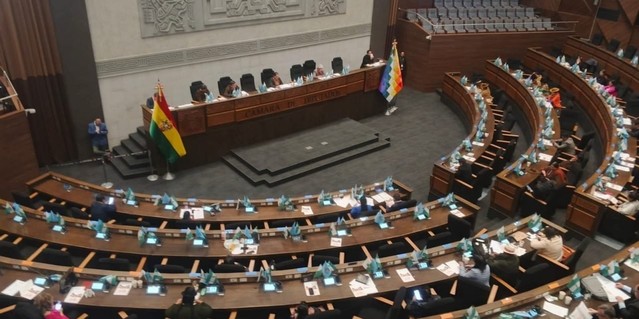 DIPUTADOS APRUEBAN LEY QUE PROHÍBE EL MATRIMONIO DE MENORES EN BOLIVIA